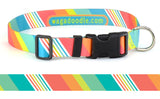 Seafoam & Coral Stripes Personalized Dog Collar