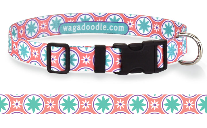 Valencia Personalized Dog Collar