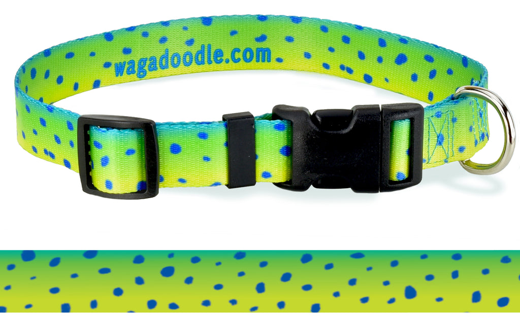 Mahi 2024 dog collar