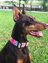 Peace, Love & Hippie Dog Collar