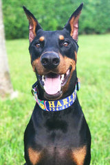 Peace, Love & Hippie Personalized Dog Collar