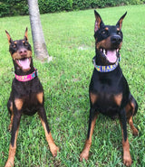 Peace, Love & Hippie Personalized Dog Collar