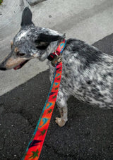 Dolphins Palm Trees &  Sailboats Orange Personalized Dog Collar