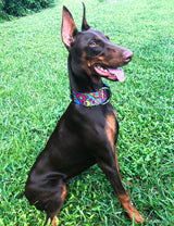 Mid-Century Modern Dog Collar