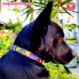 Wild Stripes Abstract Dog Collar Art