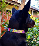 Wild Stripes Abstract Art Personalized Dog Collar
