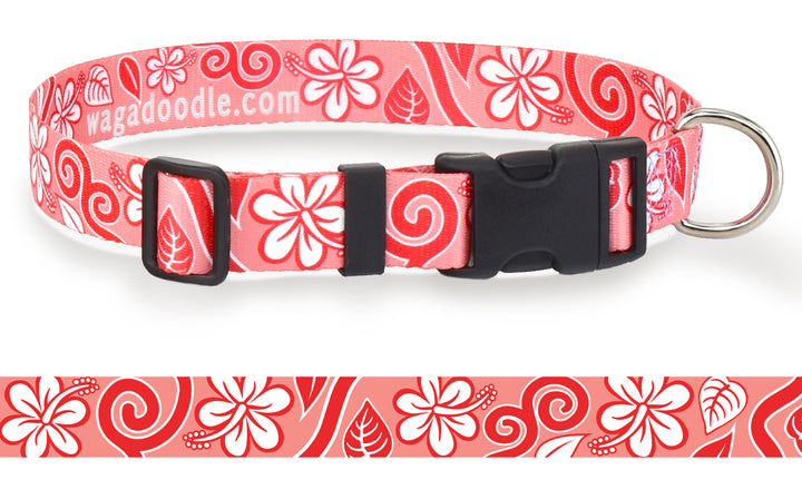 Hawaiian Breeze Coral Personalized Dog Collar