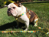 Seashore Yellow Dog Collar
