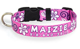 Hawaiian Breeze Pink Personalized Dog Collar