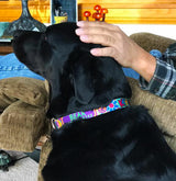 Peace, Love & Hippie Personalized Dog Collar