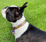 Honey Bees Purple Personalized Dog Collar