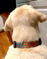 Triggerfish Pattern Personalized Dog Collar