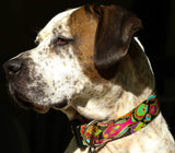 Tropical Reef Fish Purple Personalized Dog Collar