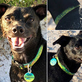 Mahi Dolphin Fish Skin Personalized Dog Collar