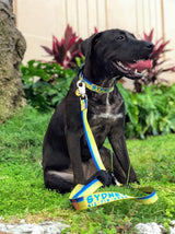 Marlin Skin Personalized Dog Collar