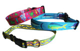 key west dog collars with artwork of fish, seaturtles and caribbean symbols