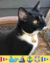 Seashore Yellow Dog Collar