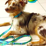 Atlantis Blue Ocean Dog Collar