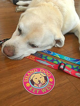 Atlantis Ocean Personalized Dog Collar