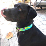 Om with Sacred Lily Blue/Green Personalized Dog Collar