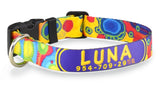 Summer Fling Abstract Personalized Dog Collar