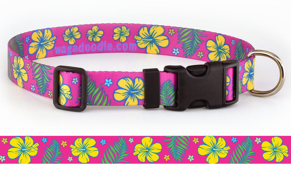 Hawaiian dog fashion collars