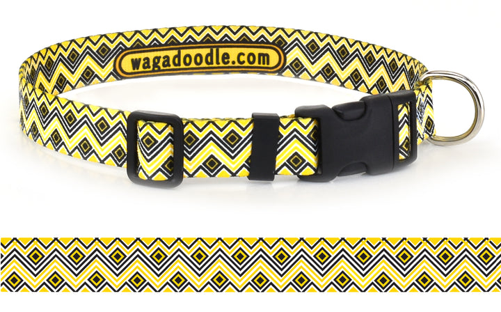 Abaco Gold Personalized Dog Collar
