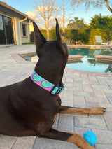Waves Pink/Aqua Dog Collar
