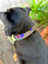 Black dog named Leo wearing a personalized dog collar with his name and phone number over the artwork of symbolic Hindu Mandelas