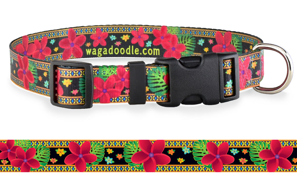 Tropical dog clearance collars