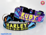 Dolphins and Frangipani Flowers Black Personalized Dog Collar