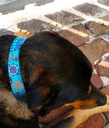 Mariner Blue Personalized Dog Collar