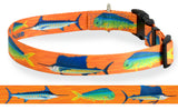 Bright orange dog collar and matching pet ID tag with artwork of Mahi, Marlin and Sailfish Offshore Deep Sea Fishing in Key West and the Florida Keys