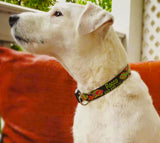 Tropical Reef Fish Black Personalized Dog Collar