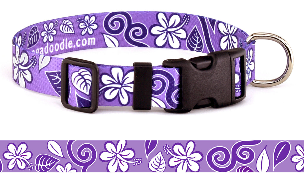 Personalized purple dog outlet collar