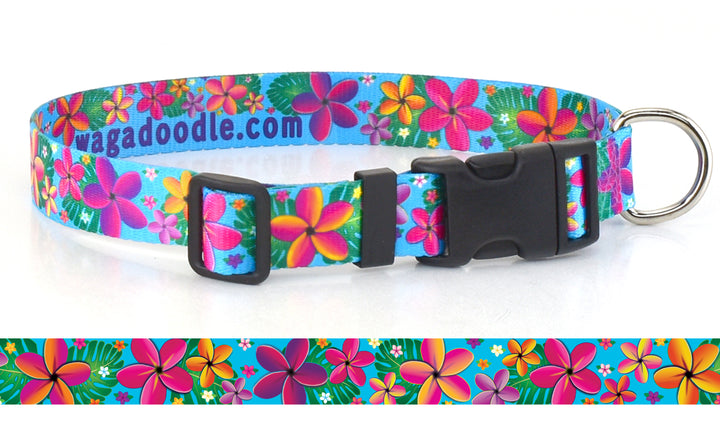 Frangipani Turquiose Personalized Dog Collar