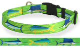 Personalized custom Dog Collar Mahi Marlin Sailfish Offshore Deep Sea Fishing dog collar artwork by local Key West Artist Wagadoodle
