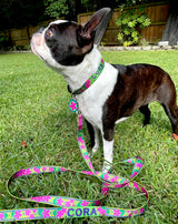 Plumeria Purple on Yellow Personalized Dog Collar