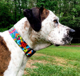 Big brown and white dog with small brown spots wearing a extra wide dog collar with multi-colored Mandela artwork all over the collar.