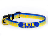 Marlin Skin Personalized Dog Collar