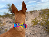 Rainbow Viscaya Martingale Dog Collar