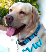 Mermaid Scales Teal Personalized Dog Collar