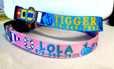 Seashore Blue Personalized Dog Collar