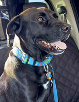 Sea Turtles Blue Martingale