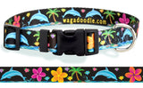 Personalized Key West Dolphins Jumping in the Ocean surrounded by Tropical Frangipani also called Hawaiian Plumeria Flowers with Palm Trees on Black Dog Collar.