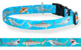 Sharks Attack Dog Collar Blue Personalized Dog Collar