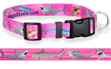 Pink dog collar with high quality artwork of a great white shark, tiger shark, blue shark, hammerhead shark and an oceanic white tip shark