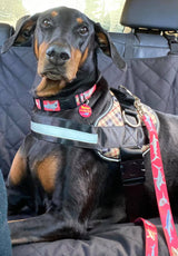 Sharks Attack Dog Collar Red Personalized Dog Collar