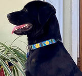 Hibiscus & Palm Fronds Blue Personalized Dog Collar