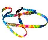 Vizcaya Personalized Dog Collar